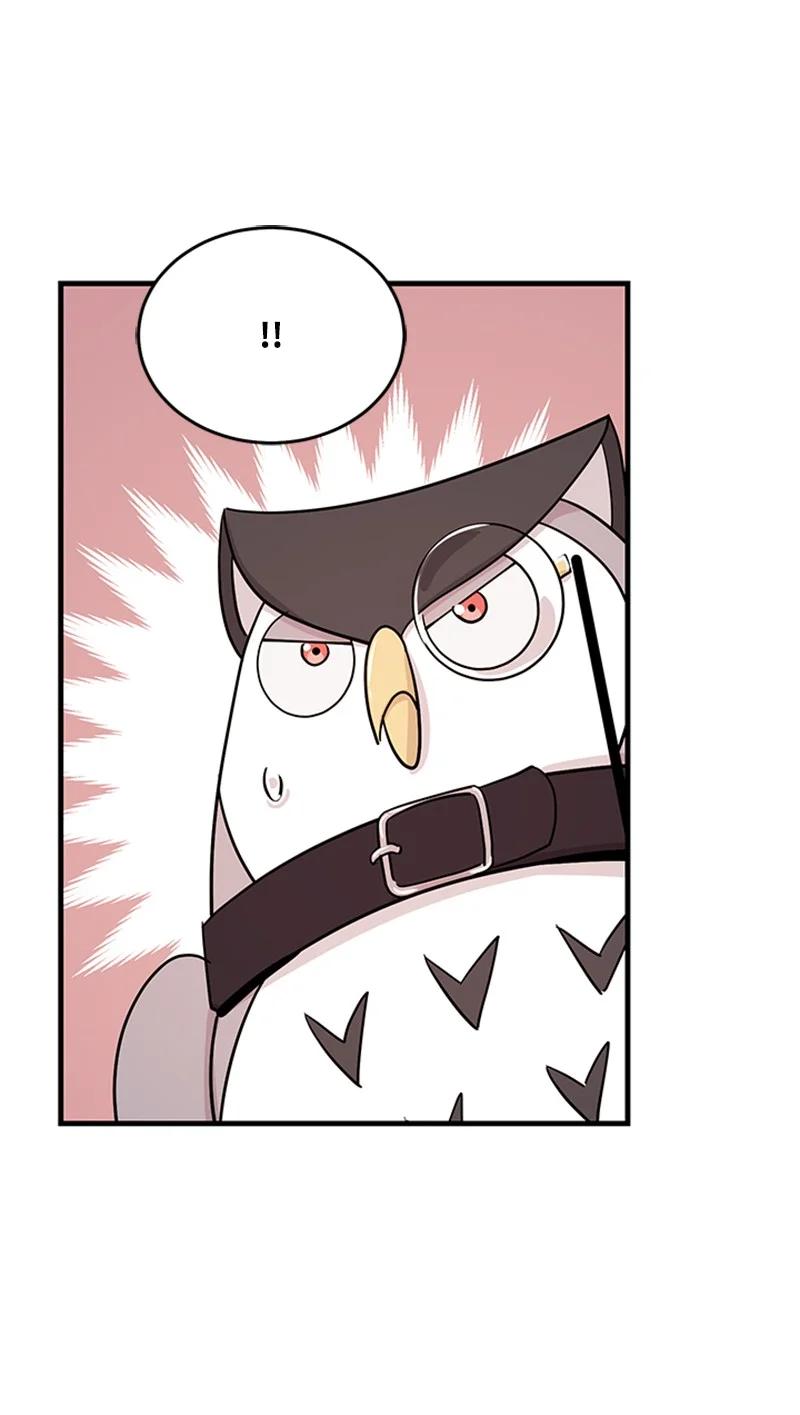 15 宝物(1/2)-第15话