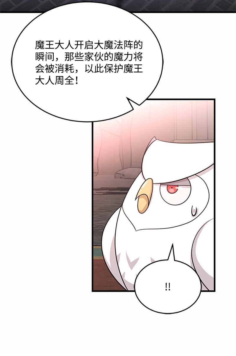 47 贝尔穆特的计划(1/2)-第47话