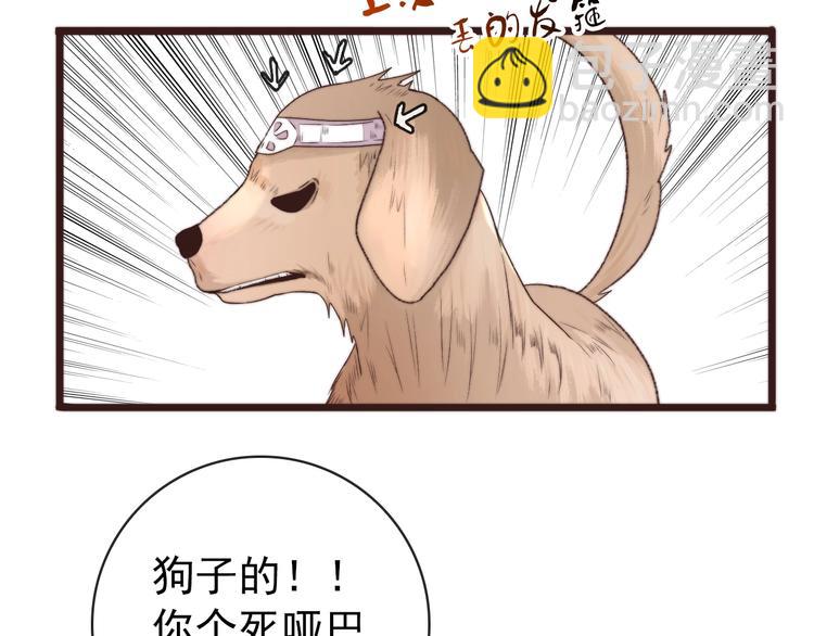 杏林芳華 - 第40話 下毒(2/2) - 6