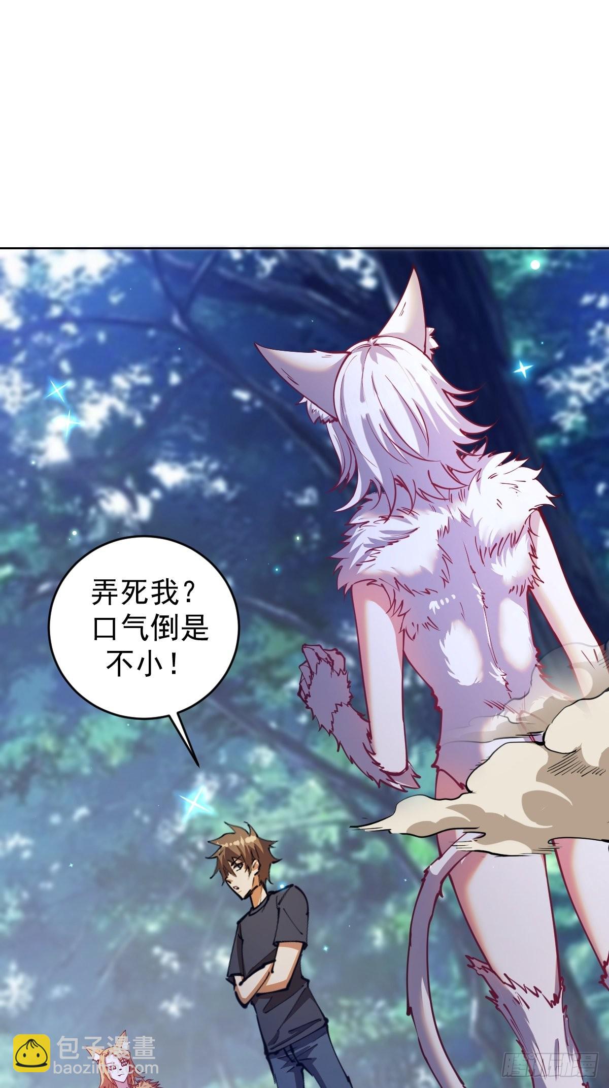 第203话：双生猫妖-第207话