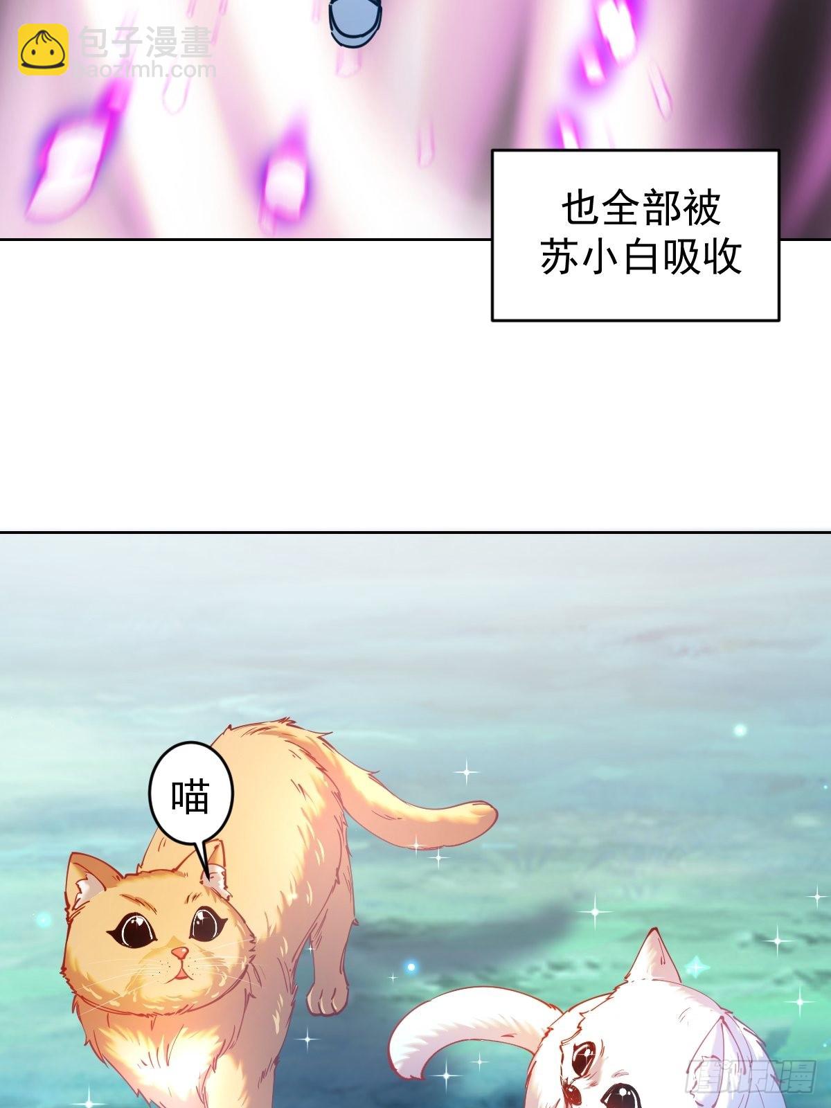 第203话：双生猫妖-第207话