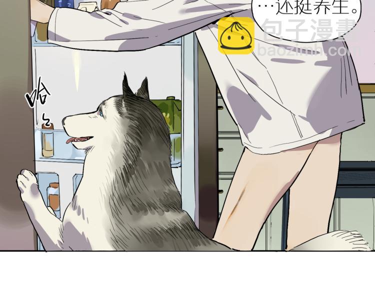 第66话 流浪犬(1/3)-第73话