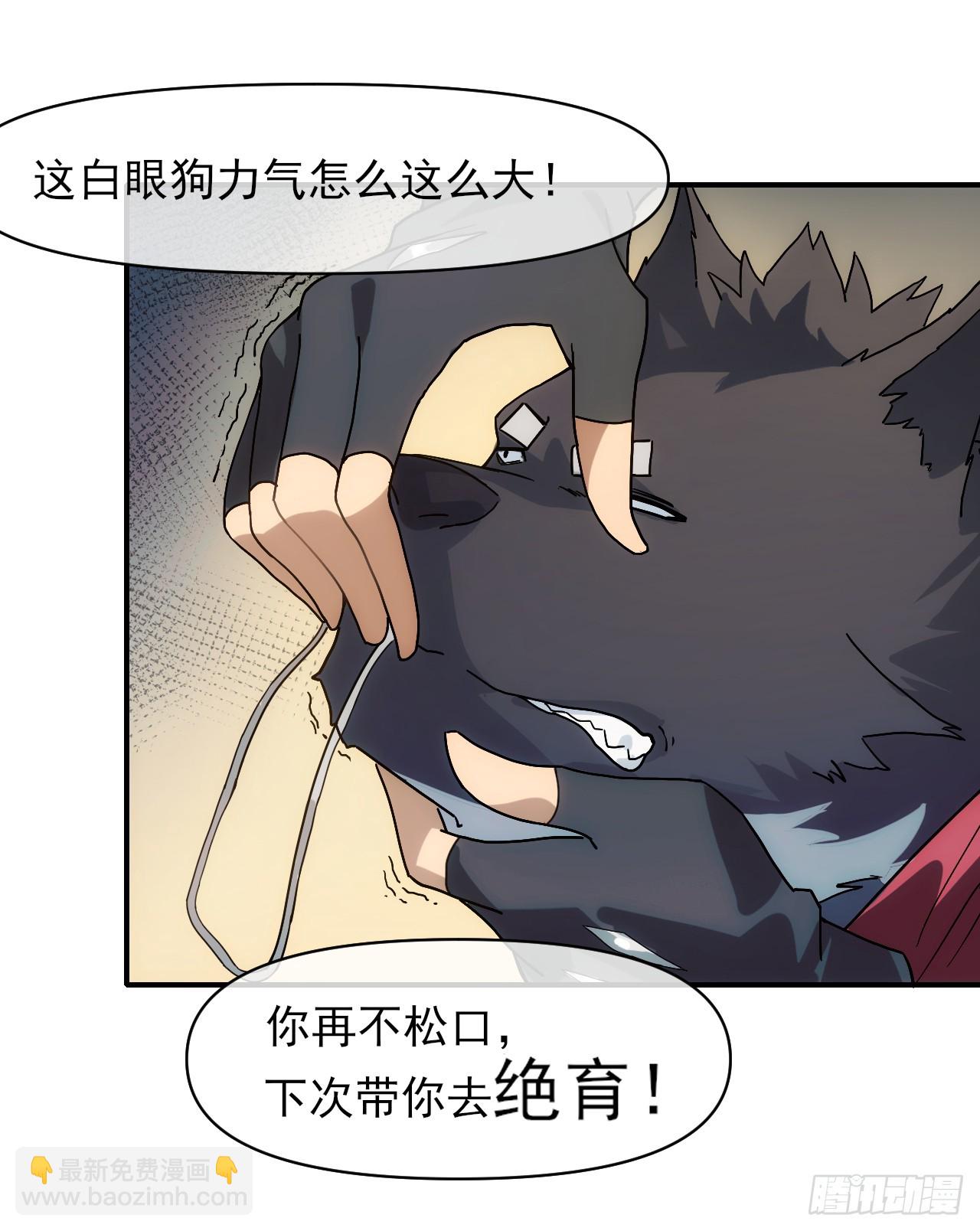 004五禽新书-第5话