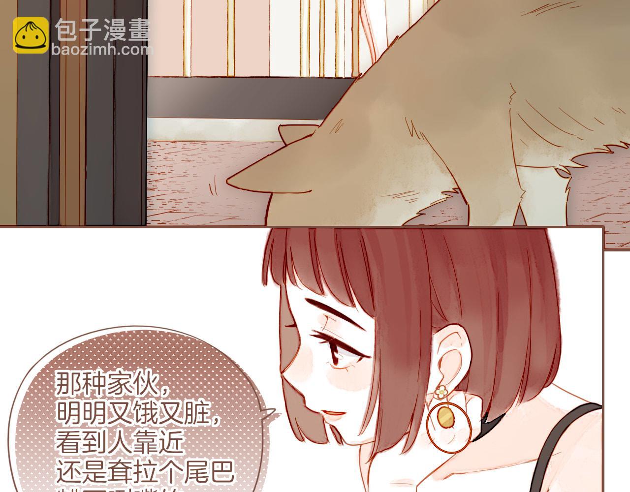 第29话 女孩、侦探、流浪狗（下）(1/2)-第29话