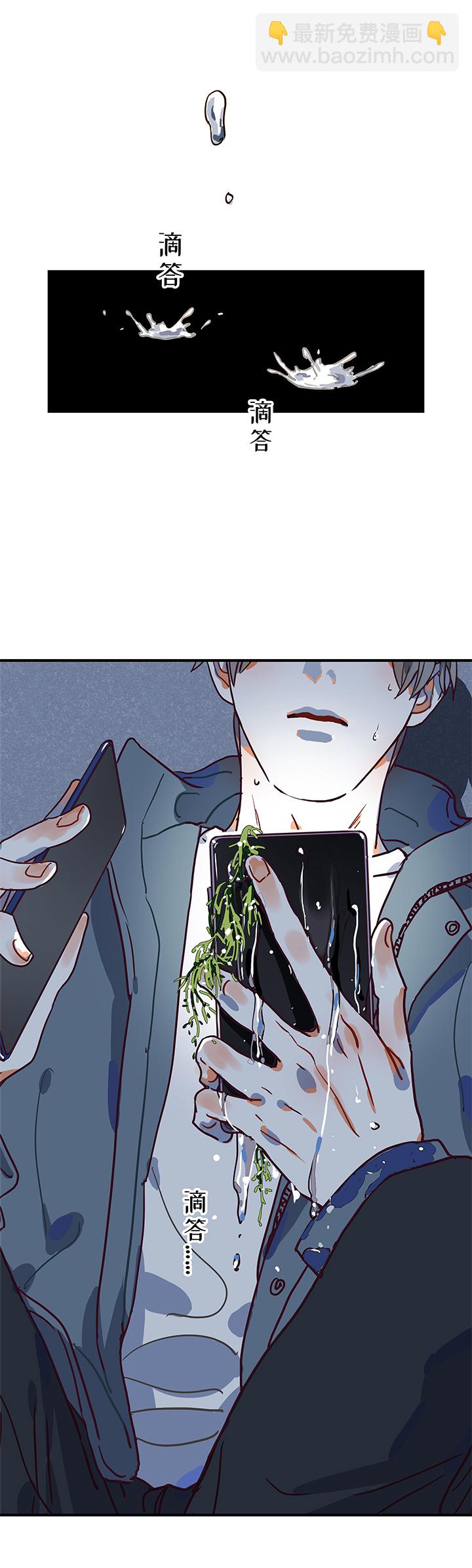 阿照篇&middot;终章-第51话