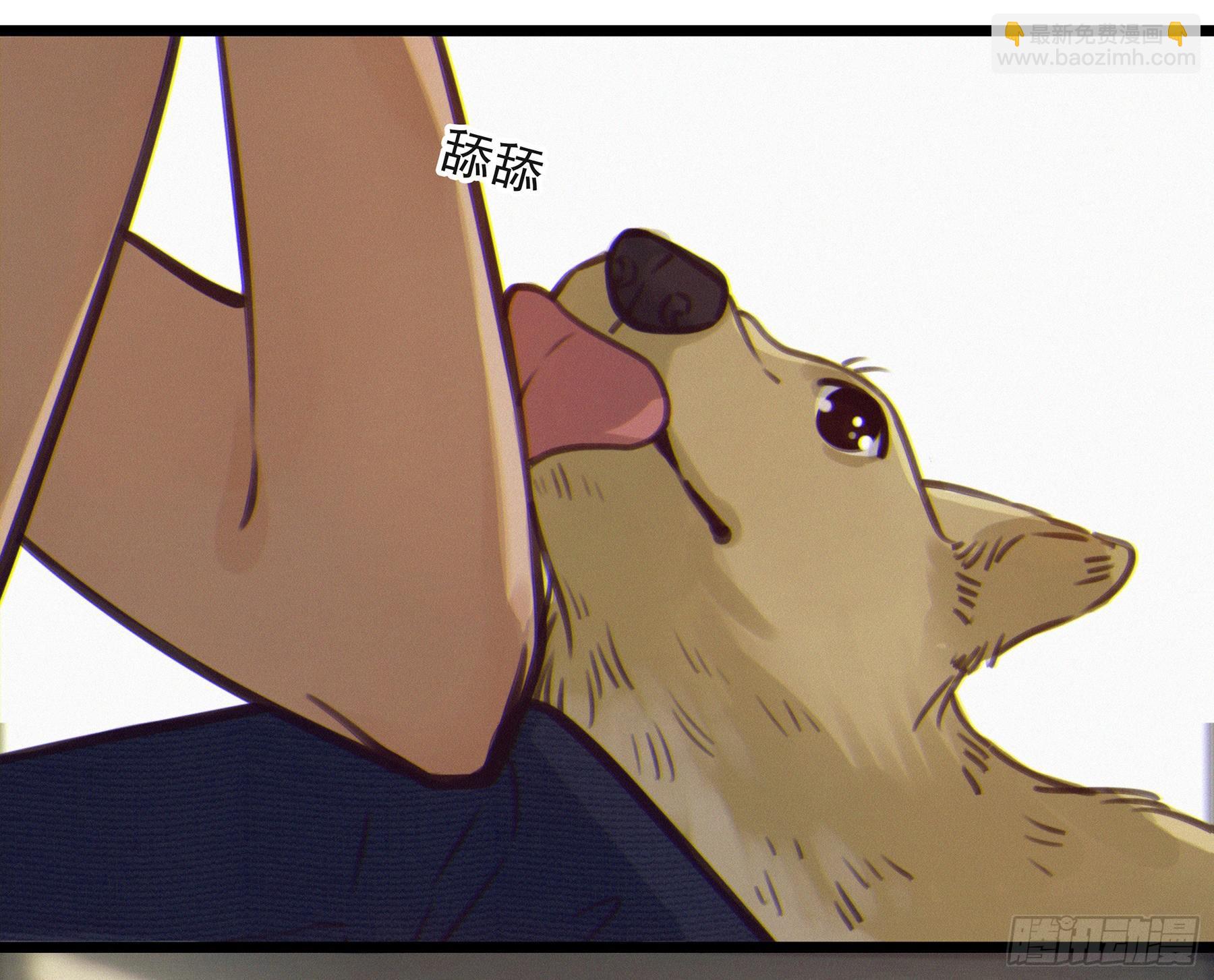 02.免赔条件(1/2)-第3话