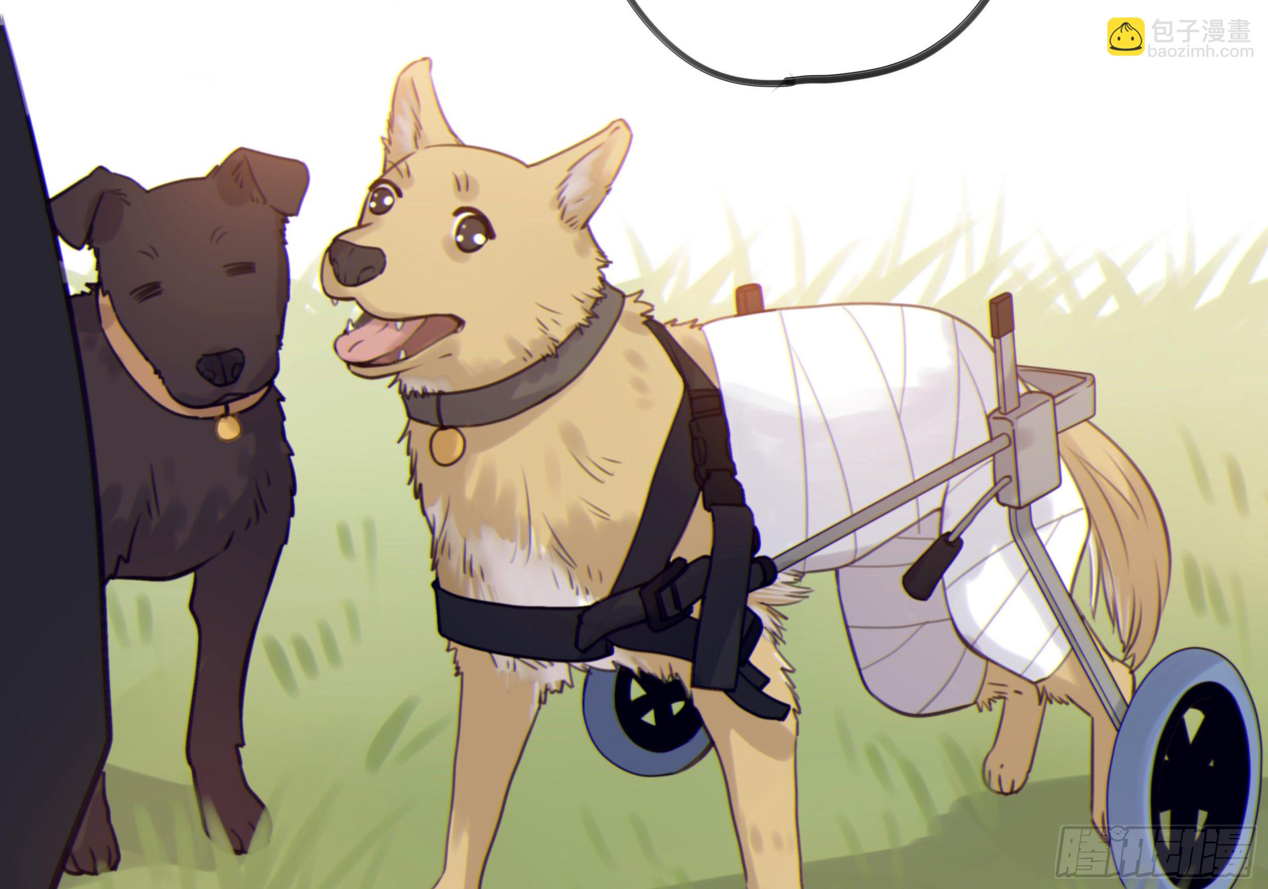 26. 尘封的过去(1/2)-第29话