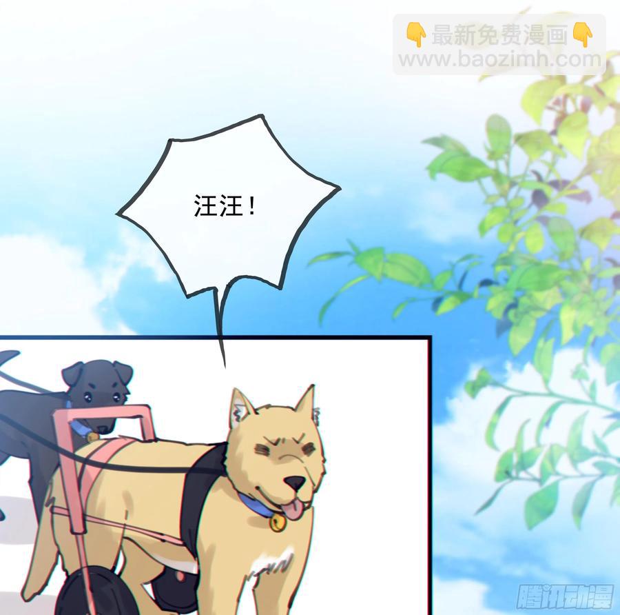 40. 特别的人(1/2)-第43话