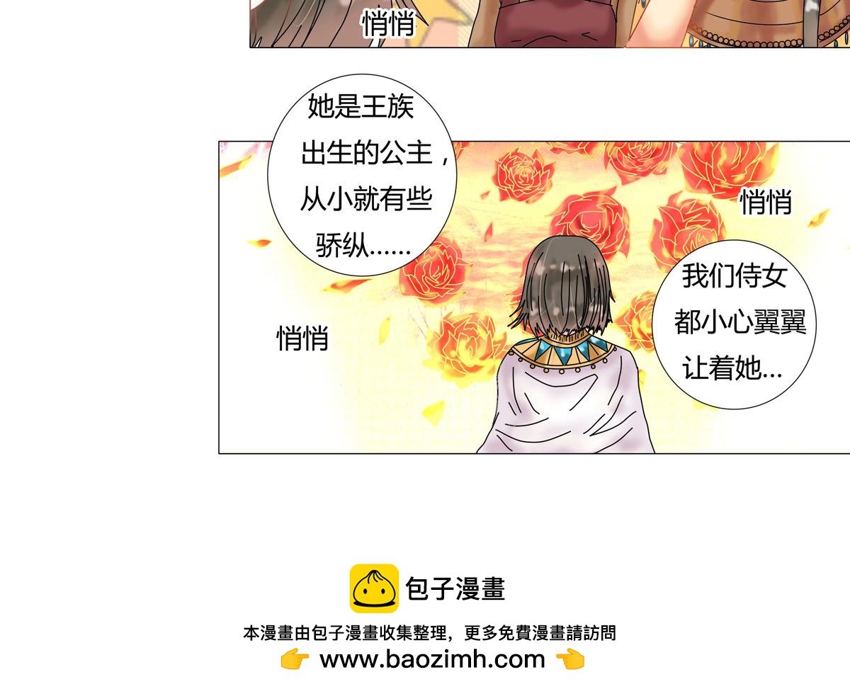 星影 - 第十三章 王妃登場三 - 2