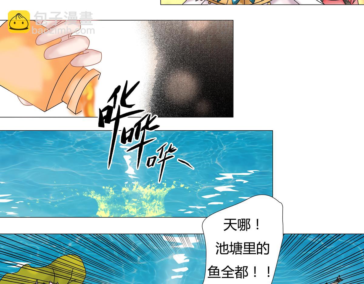 星影 - 第十四章 反擊二 - 1