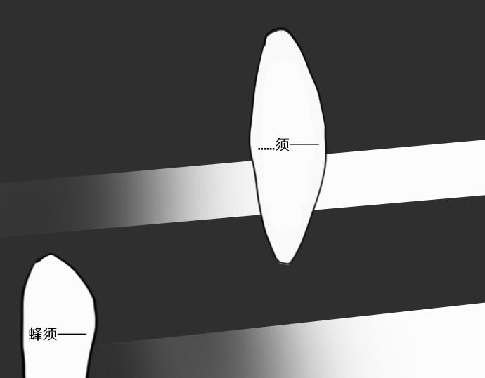 第11话 企图(1/2)-第11话