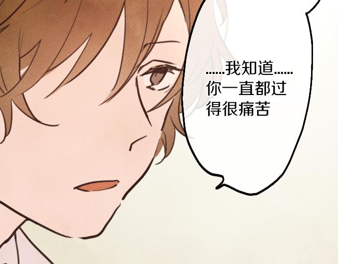 完结篇 黑暗中的希望(1/2)-第251话