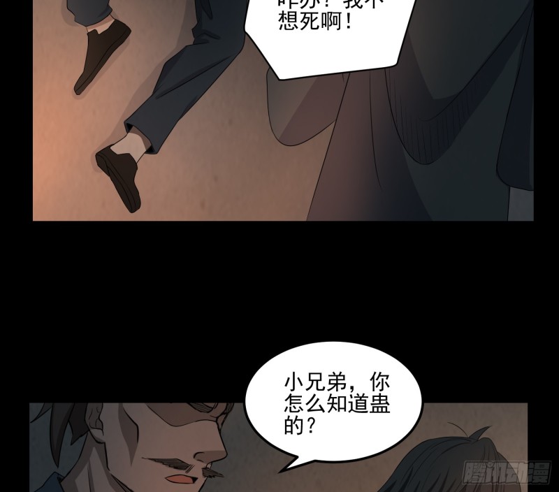 阴魂痋虫(1/2)-第61话