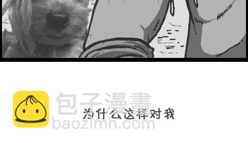 心靈的聲音 - [第73話] 狗競爭 - 1