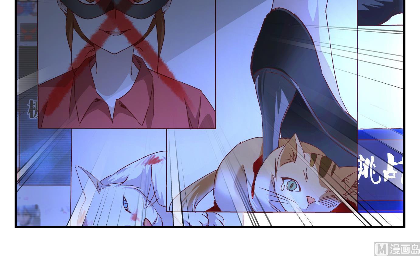 第40话 直播篇-第41话