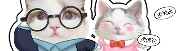 第12话 大明星榨的西瓜汁-第13话