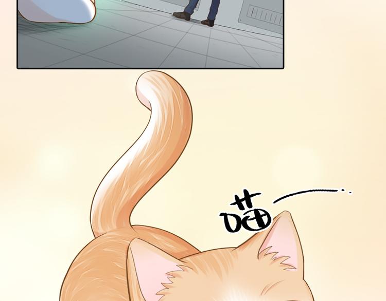 第75话(1/2)-第79话