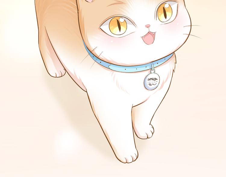 第75话(1/2)-第79话