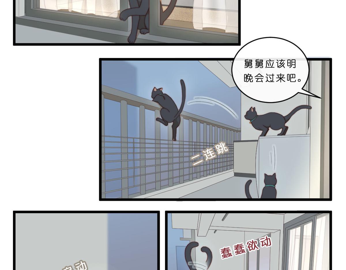 心.守 - 29.掉，掉喵啦！（^⊙▃⊙^) - 1