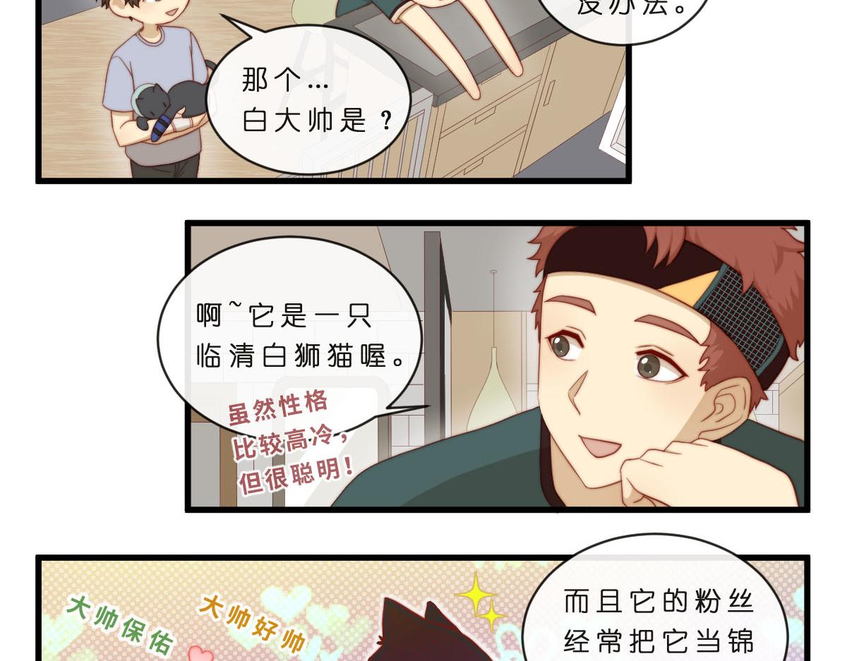 心.守 - 35.貓明星 - 2