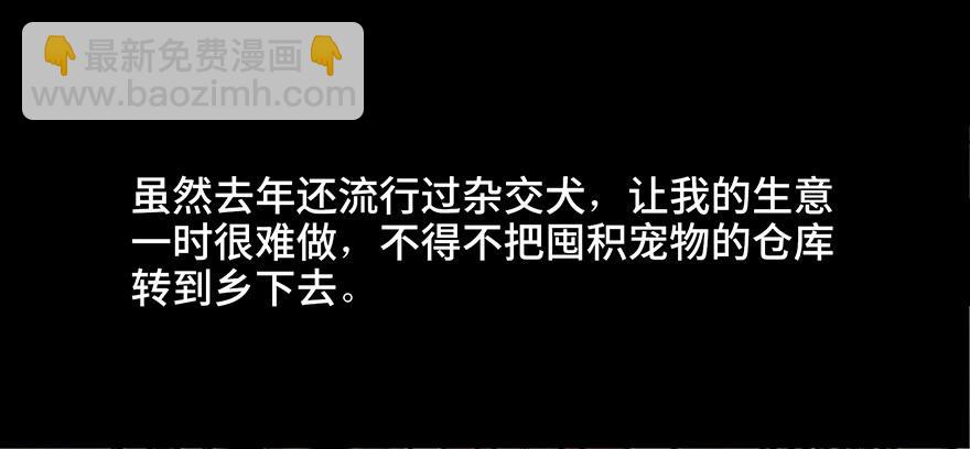 第三十话&middot;宠物商(1/3)-第29话