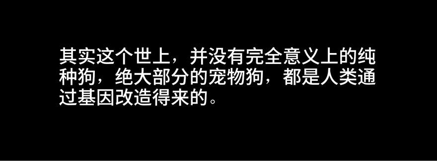 第三十话&middot;宠物商(1/3)-第29话