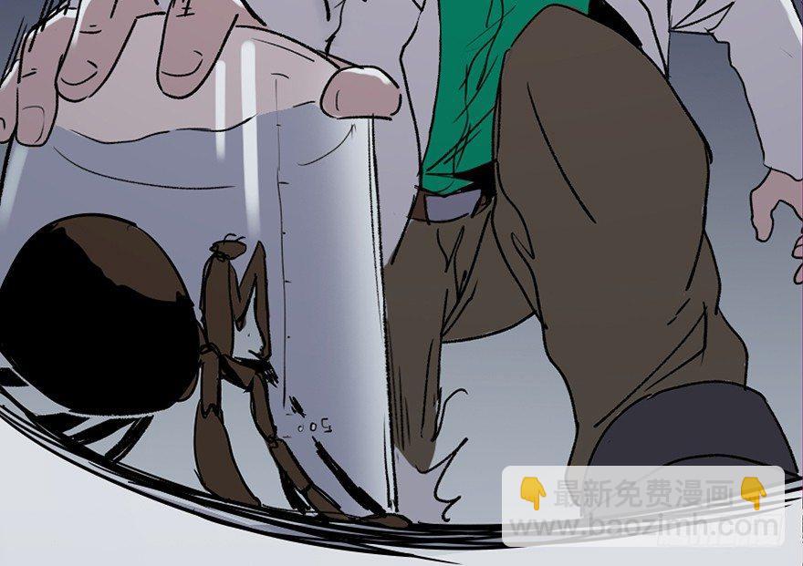 第三十四话&middot;动物保护(1/3)-第33话