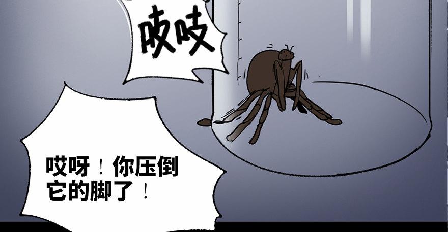 第三十四话&middot;动物保护(1/3)-第33话