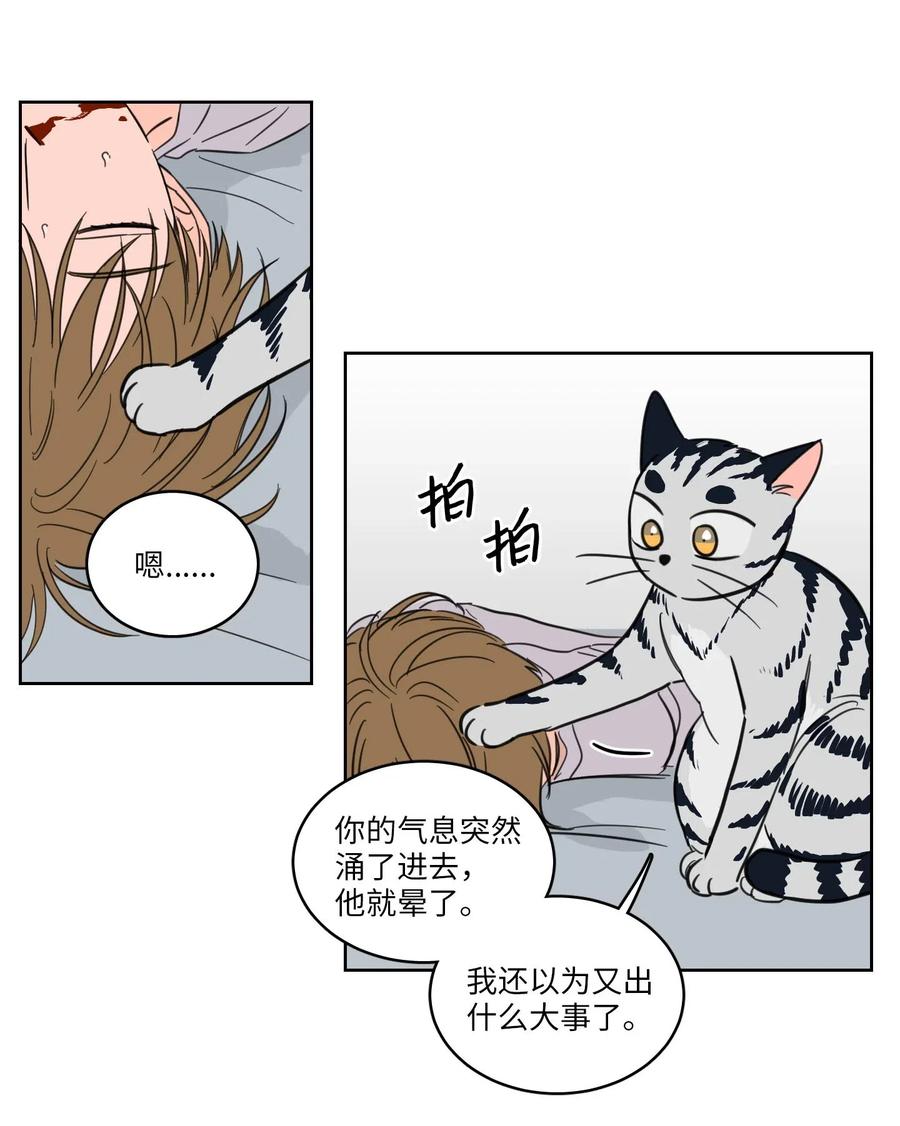 19 取珍珠-第19话