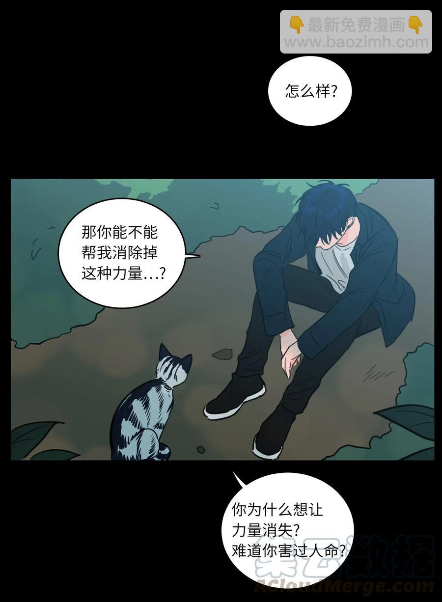 41 特别的力量-第41话