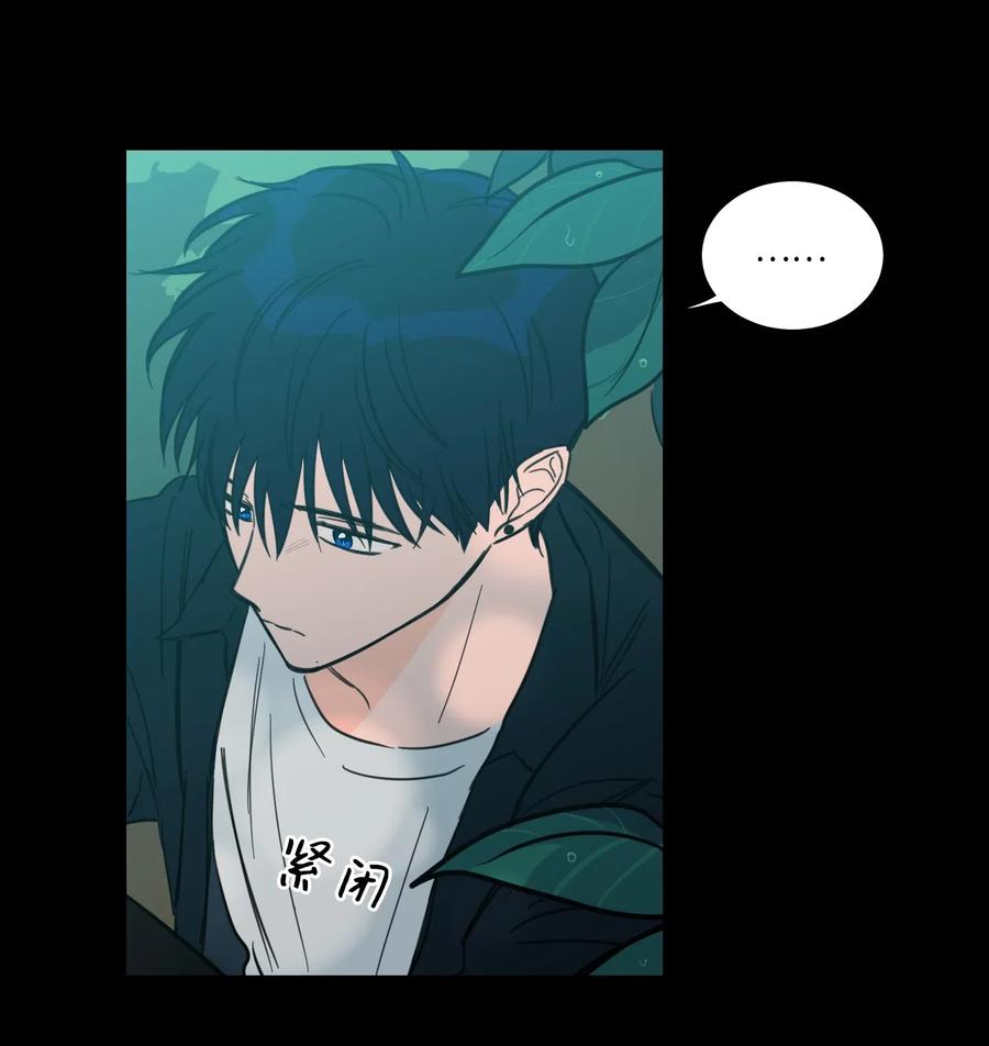 41 特别的力量-第41话