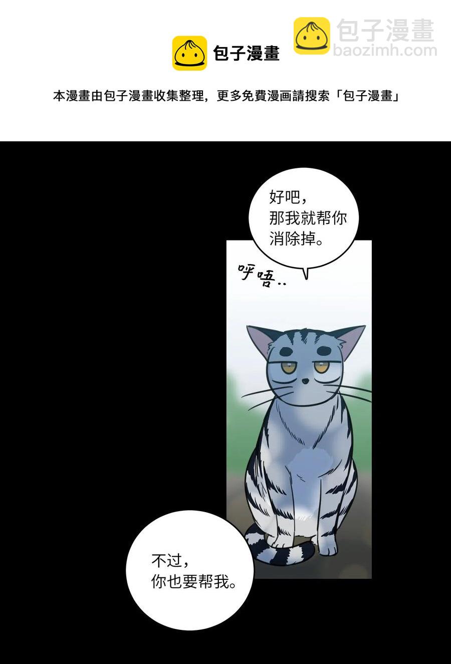 41 特别的力量-第41话