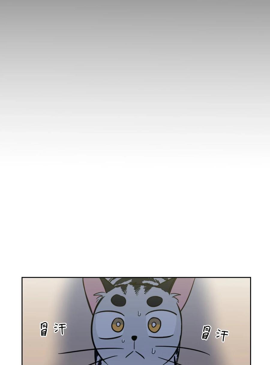 41 特别的力量-第41话