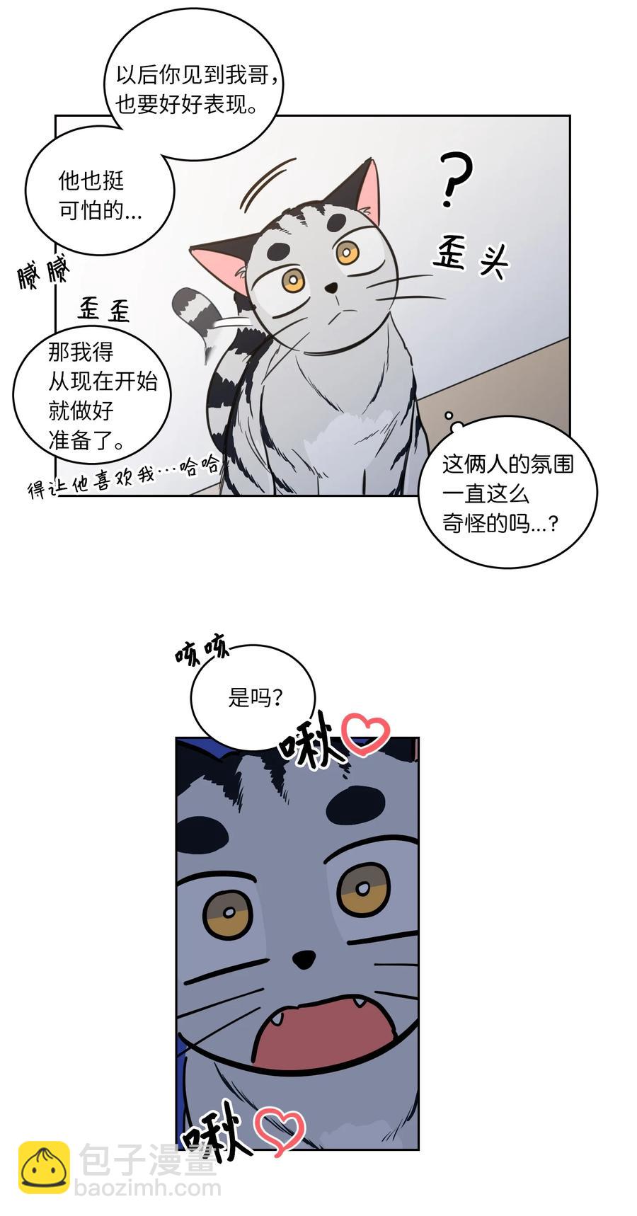 43 未知来电-第43话