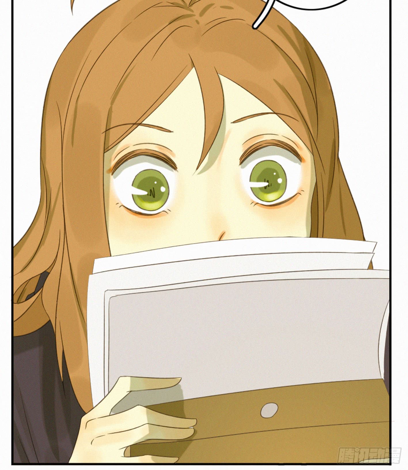 完结(下) 固执的傻瓜(1/2)-第51话