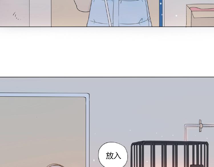 第2话 凶猛羽兽(1/2)-第3话