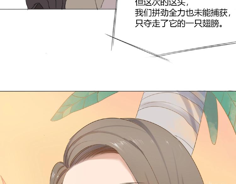 第2话 凶猛羽兽(1/2)-第3话