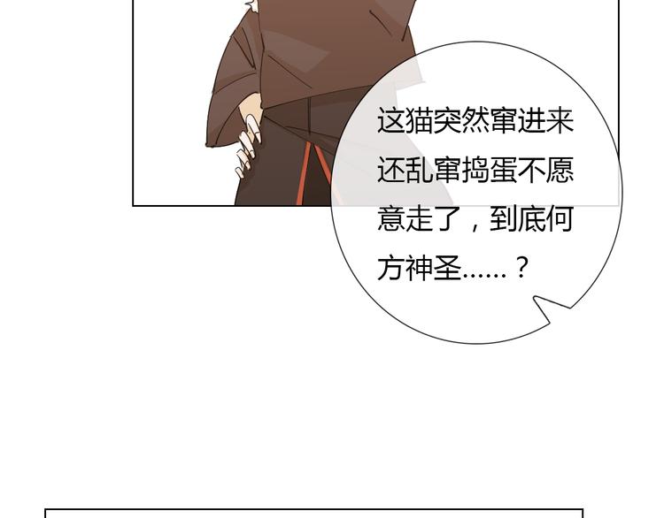 第6话 找到喵咪啦(1/2)-第15话