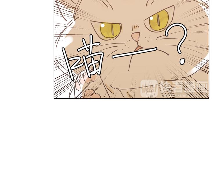 第6话 找到喵咪啦(1/2)-第15话