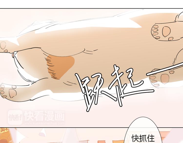 第6话 找到喵咪啦(1/2)-第15话