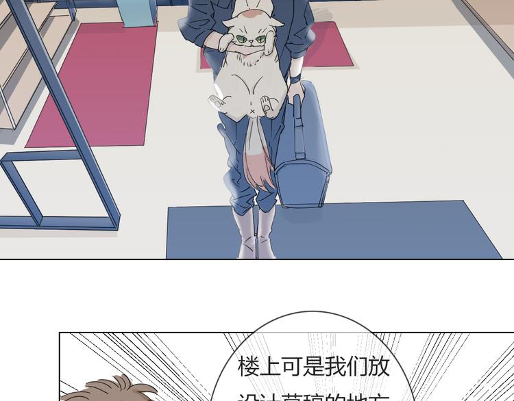 第6话 找到喵咪啦(1/2)-第15话