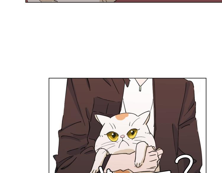 第6话 找到喵咪啦(1/2)-第15话