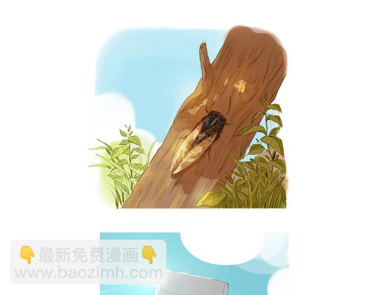 回顾 猫咪与我的回忆-第9话