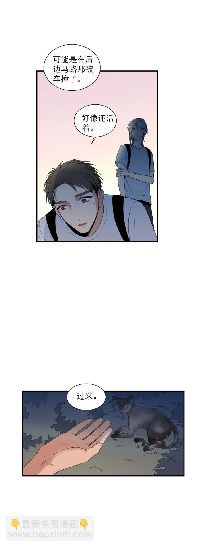 101 猫与秘密-第111话