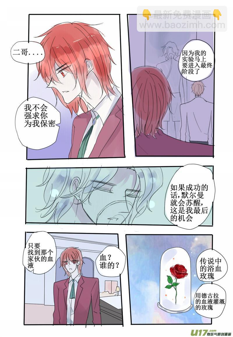 用血液灌溉的玫瑰-第65话