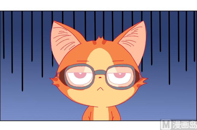 猫爸的骄傲-第3话