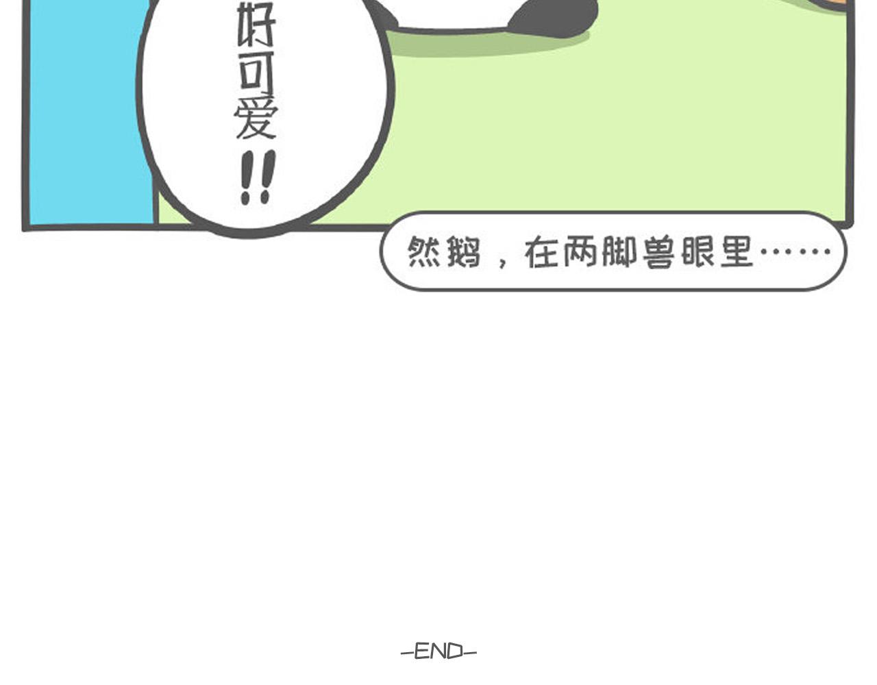 001 想我堂堂熊猫一族-第1话