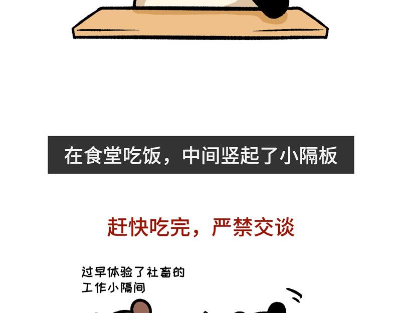 025 史上最长的寒假-第13话