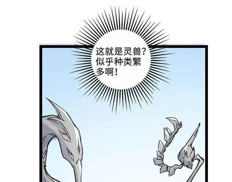 第3话 灵兽堂的羞辱(1/2)-第3话