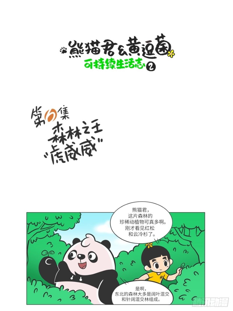 熊猫君和黄逗菌可持续生活志II - 第6话 森林之王“虎威威” - 1